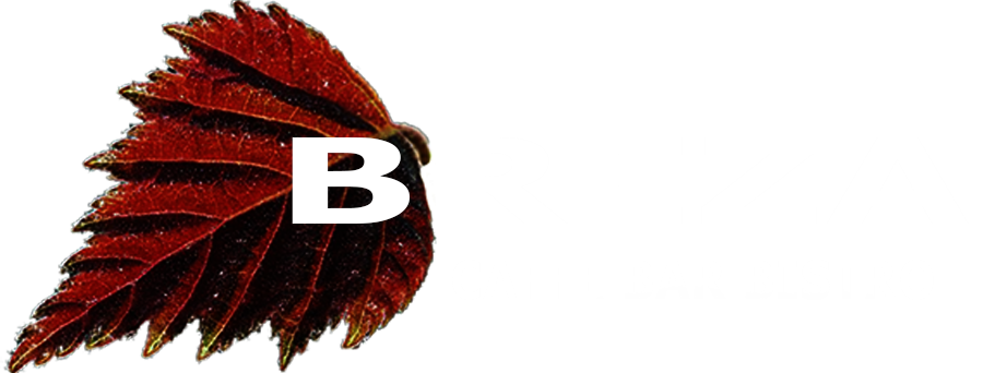 Caffe barr Bistro Breza